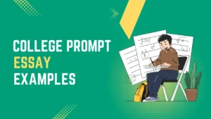 College prompt essay examples